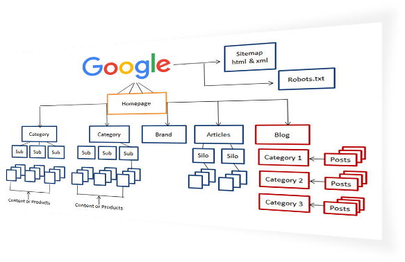 identificarea cuvintelor cheie pentru auditul SEO & optimizarea site-ului