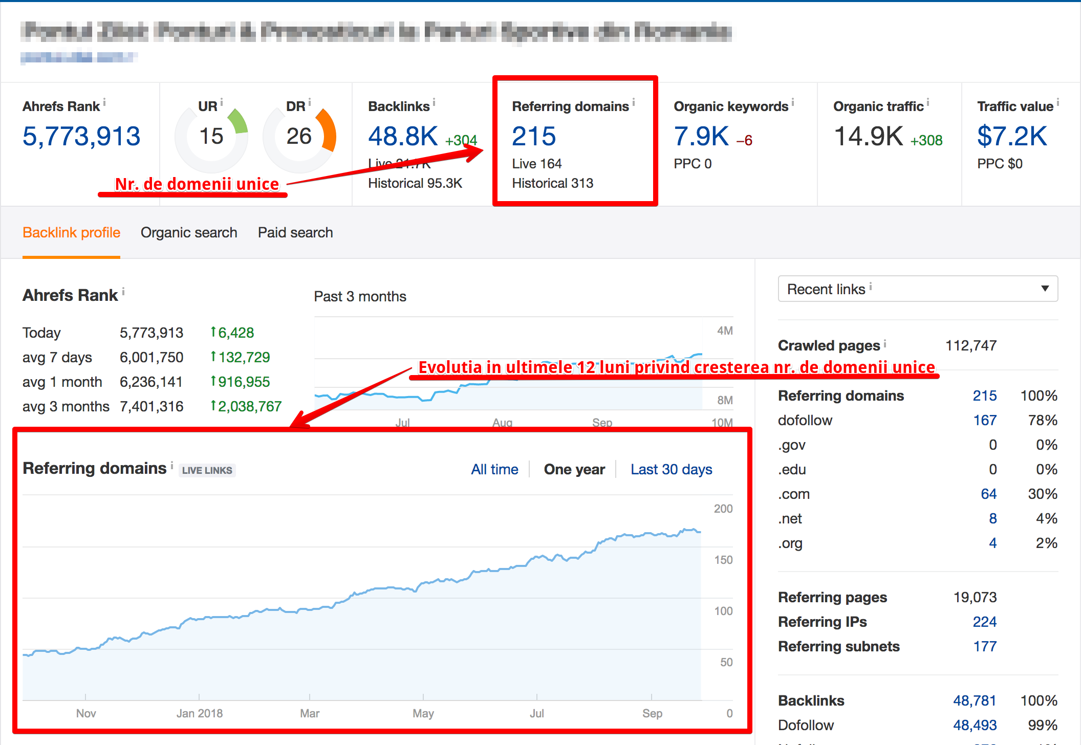 reffering domains - campanie seo