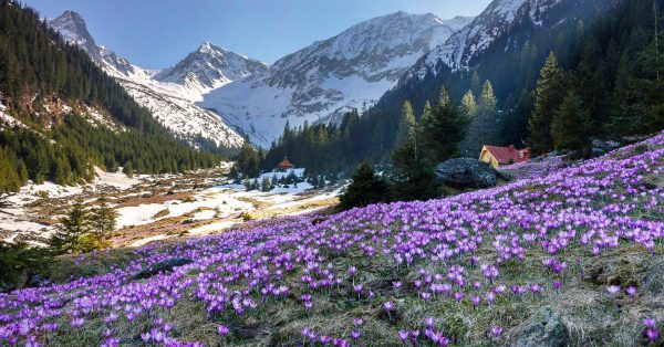 Exemplu de fotografie în raport de aspect 1.91:1