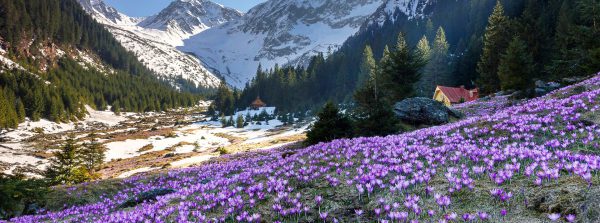 Exemplu de fotografie în raport de aspect 2.7:1